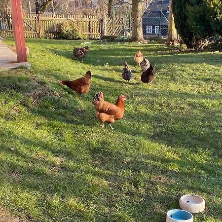 Apartment Kastanienhof