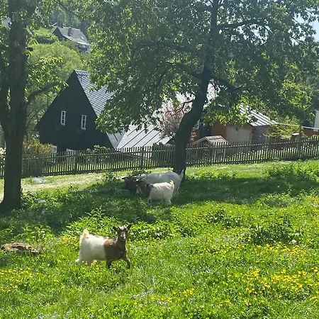 Kastanienhof