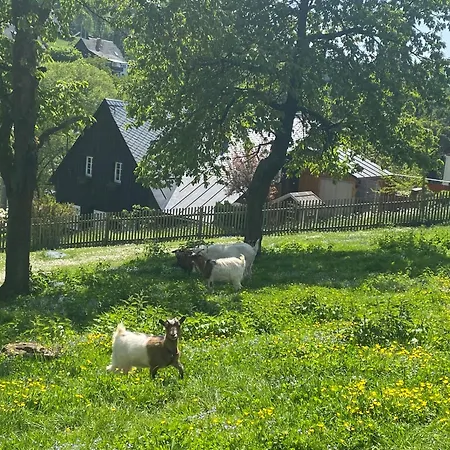 Kastanienhof