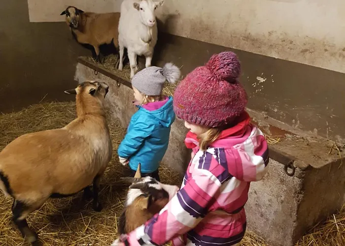 Apartment Kastanienhof